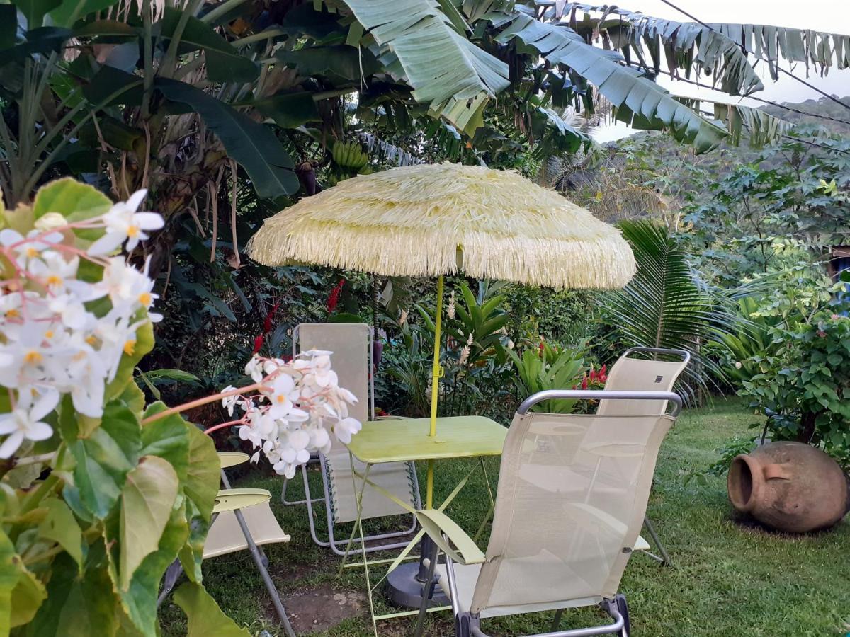 לינה וארוחת בוקר דסהייס Terrasse Du Piton מראה חיצוני תמונה